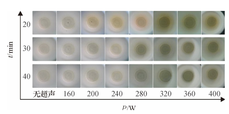 圖5不同密閉消解時間、不同超聲功率的消解效果