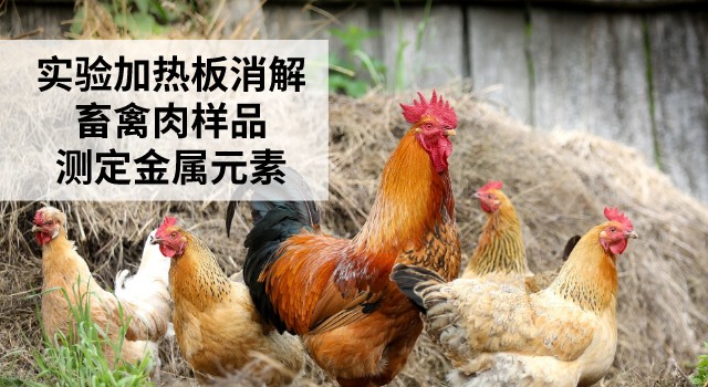 實(shí)驗(yàn)加熱板消解畜禽肉樣品測(cè)定金屬